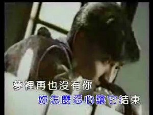 劉德華-沒有你沒有我