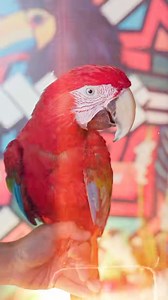 508K views · 1.2K reactions | Step inside the grandeur of MST’s opening day!  Join us on a whirlwind tour through the excitement, the flavors, and the smiles that filled our grand opening event. Get ready to relive the magic! ✨ #MSTGrandOpening #CulinaryCelebration | MST | Facebook