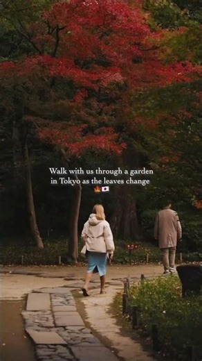 Autumn Leaves at Koishikawa Korakuen Gardens 🍁🇯🇵