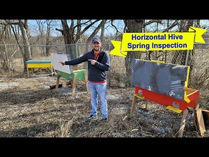 Horizontal Hive Spring Inspection