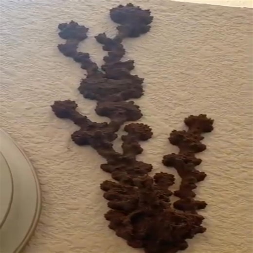 1.4K views | Does anyone know what this thing next to the clock is? 樂 I checked the Ring camera footage and it first showed up about 18 days ago as a tiny spot — now it’s grown a lot bigger. I want to clean it off the wall, but I’m kinda hesitant… in case it releases bugs or spores or something.  Read more in Comment or Most relevant -> All comments  | Adrien CWC | Facebook