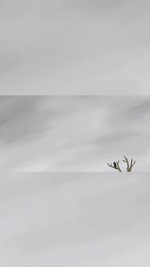 #strongman #strongmantraining #vikingpower #brutepower #fullsterkur #hálfsterkur #powerlifting #squats #bench #deadlift #bodybuilding #YouTube #syg #brawlstars #shorts #Game #Twitter #Snapchat #ticktock #Facebook #Instagram #Messenger #Like #WhatsApp | قناه محمد الصيفي