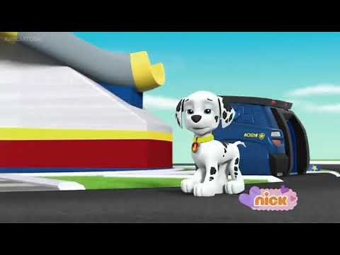 Paw Patrol || Marshall goes missing (part 1) || Pup's save a friend