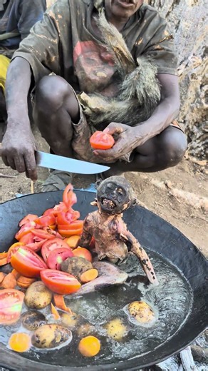 Wild food x tomatoes 🍅🤤 #africa #reels