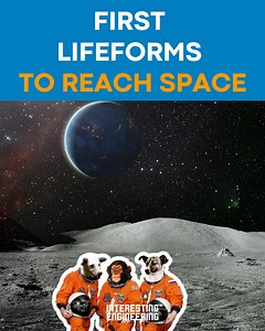 12K views · 211 reactions | Animals were the first lifeforms to be sent to space, all in the scope of eventually sending humans. Those animals ranged from fruit flies all the way to dogs. Over 14 years is all it took to go from animals to humans. | Interesting Engineering | Facebook