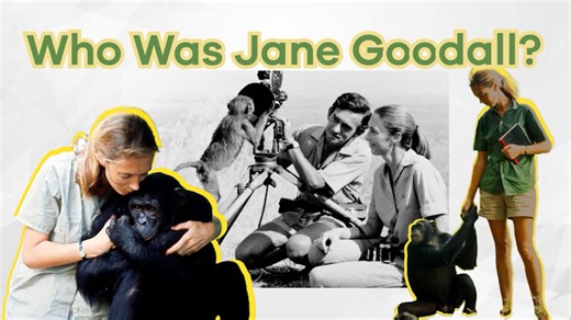 Who Was Jane Goodall?