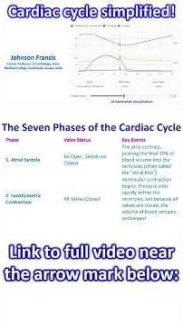 Cardiac cycle simplified!