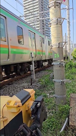 東海道本線 下り E233系3000番台 平塚行 #東海道本線 #東海道線 #E233系3000番台 #平塚行 #JR線 #JR東日本