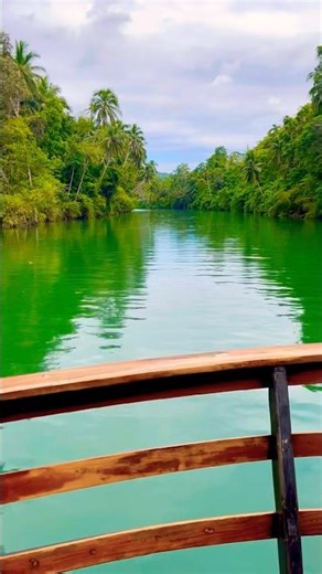 Jungle River Cruise in Bohol, Philippines! 🇵🇭 #philippinestravel #travel #bohol #travelphilippines
