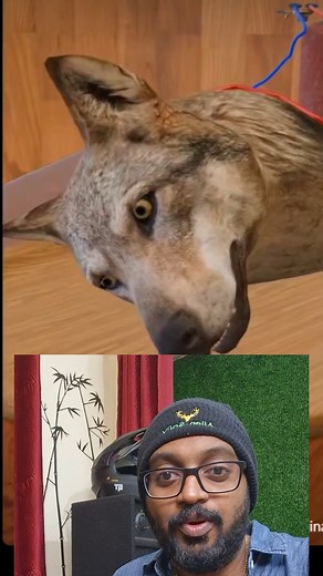 Shocking experiment #science #dog #expiriment | Jino Kiran VS