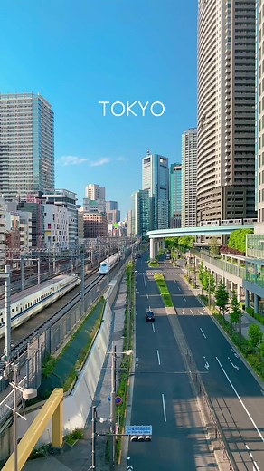 新幹線とゆりかもめが交差する瞬間