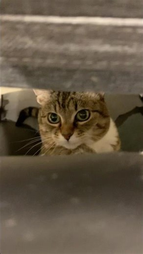 This is why I can’t be productive at work