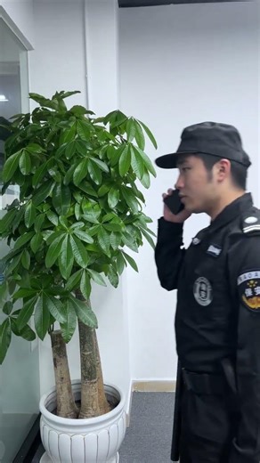 PadBot Robotics | Autonomous Security Robot with Remote Thermal Detection