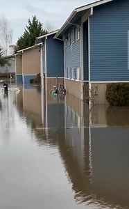 The Flooding up North is extensive. These are the Chehalis Avenue Apartments where flood water has inundated multiple buildings and cars, forcing people to evacuate. Video by Otto Rabe. The Chronicle | Cowlitz County News