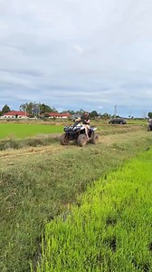 In the middle of the rice fields, only the wind and your thoughts remain — a pure Khmer countryside experience with a soft classic glow. Source: TikTok ( Cambodia_Quad_Bike ) #CharmingCambodia #Cambodia #TravelVibes #welcome #Amazing #trip #kingdomofsmiles | People’s Daily-Cambodia
