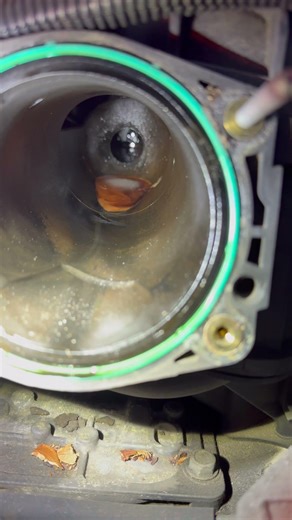 2010 Silverado Has Oil Sitting Behind the Throttle Body - Is This Normal? #diyrepair #silverado