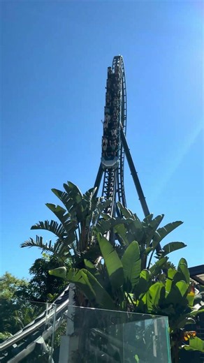 The best themed attraction in the world? #velocicoaster #rollercoaster #islandsofadventure #coaster