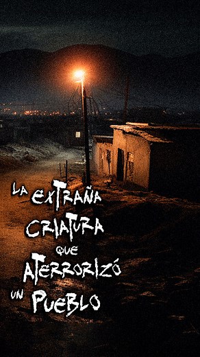 💀TERROR EN UN PUEBLO: La extraña criatura que acechaba Poza Rica, Veracruz 💀 Únete a nuestro grupo en Facebook. Ahí la comunidad comparte sus relatos de terror: 👉 La Secta FP - Comunidad de Frecuencia Paranormal Recuerda seguirnos también en nuestro segundo proyecto, Voces Muertas. Allá narramos historias de terror y leyendas que encontramos en internet. #fblifestyle | Frecuencia Paranormal