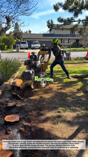 Amazing, Insane Tree Stump Removal Machine in Action! Satisfying Grinding Process