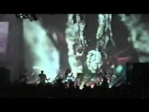 Butthole Surfers (Fort Worth 2002) [07]. Cough Syrup