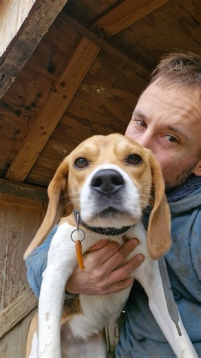 LOL Beagles UBI & ULYNE | 50 IMITATEURS 2 | Incroyable Talent 26 on Instagram: "Abonne-toi ➡️ @lol.beagles La France a un Incroyable Talent 2026 🎬 THÉRAPIE DOGS – LE CONCEPT "Thérapie Dogs" est une mini-série humoristique mettant en scène Ubi & Ulyne, 2 Beagles qui réagissent avec un flegme légendaire face à des situations absurdes et des guest stars improbables. Le concept joue sur des dialogues décalés, un montage ultra-court et un humour méta qui fait référence à la pop culture et aux tendan