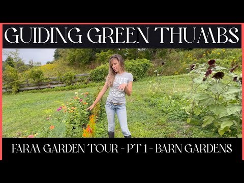 FLOWER FARM GARDEN TOUR - PART #1 - THE BARN GARDENS