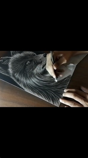 hyper realistic wolf💘sketching #art #sketch #pendrawing #real #reality #realistic #drawing #wolf