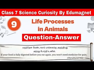 NCERT Class 7 Science Curiosity Chapter 9 Life Processes in Animals Question Answer | EDUMAGNET