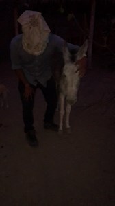 328K views · 565 reactions | Como Reacciona Plutón Cuando Entro con la Cara Cubierta | Jefferson Rescata | Facebook