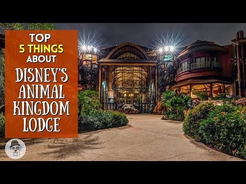 5 Reasons You'll Love Disney's Animal Kingdom Lodge | Walt Disney World Resort
