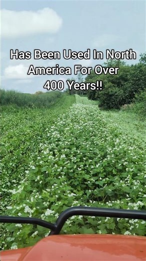 INCREDIBLE Food Plot Soil Builder | The BEST?