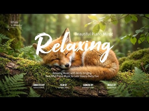 Relaxing Piano Music with Birds Singing 🐦 | Sleep Music & Cute Baby Fox 🦊 Nature Sounds
