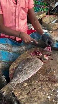 Huge Fish Cutting Skills 🔪🐟 | Amazing Knife Technique