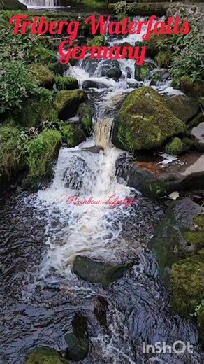 Triberg Waterfalls Germany #triberg