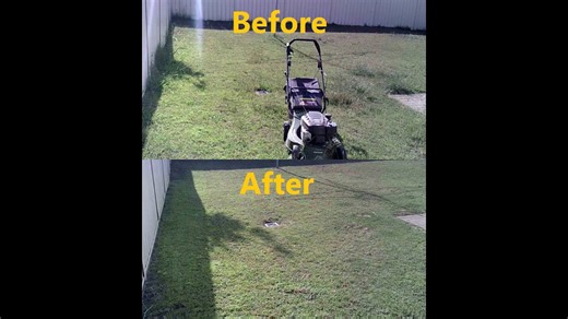 Fast and Clean - The Most Satisfying Yard Cleanup Yet