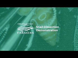 SCF Snails Dissection Demonstration