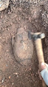 1.8M views · 3.7K reactions | I found an extremely rare antique, never seen before | Inspiring Life Moments | Facebook