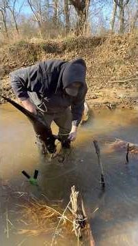 Trapping otters with body grips how to