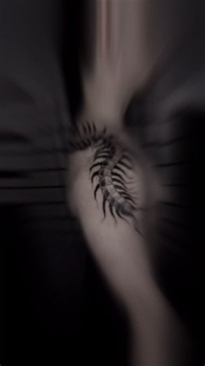 I love tattooing giant centipedes plus this was his first tattoo and sat like a beast. Always down to do more like this! Want a dark, bold and heavy tattoo come see me, Pensacola’s premier dark artist. -> follow White Bat Tattoo #pensacola #tattoo #pensacolatattoo #pensacolatattoos #whitebat #pensacolatattooartist #tattooartist #florida #pensacolatattooshop #whitebattattoo #darkart #bugtattoo #bug #centipiede #centipedetattoo #hugetattoo #tattoostyle #darkart #darkarttattoo #bold #heavytattoo #c