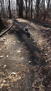 Sunday morning. #Dali #Allegra | Hugh Jackman