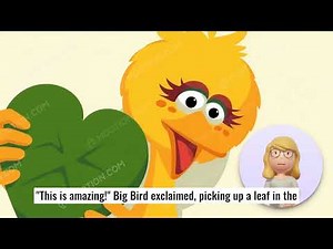 Sesame Street – Learn Shapes with Elmo & Friends: Finding Shapes in Nature