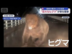 日本各地でクマ被害相次ぐ 駅構内や駐車場に出没 車に突進【スーパーJチャンネル】(2025年11月8日)