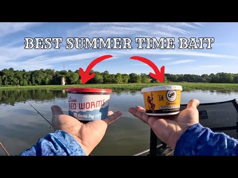 The ONLY Rig YOU Need To CATCH Shellcrackers!