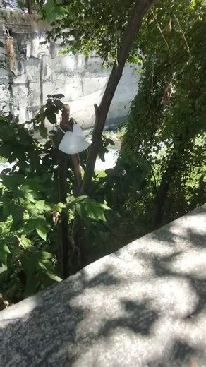 Five Star ni Poypoystore: Best Fireworks Available!