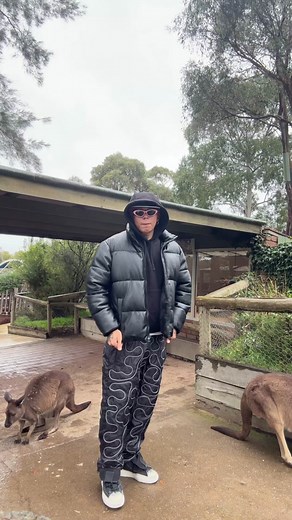 Morena Beéle Dance Compilation Videos 🦘🇦🇺