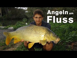 Angeln am Fluss auf Karpfen und andere Fische mit verschiedenen Ködern, Methoden und Montagen