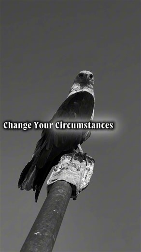 Trust the Transition