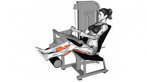 Lever Seated Leg Curl
