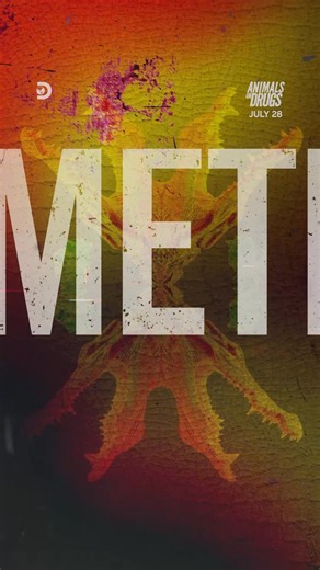 5.6K views · 17 reactions | Are animals really getting high off human drugs? Forrest Galante investigates. #AnimalsOnDrugs starts July 28 at 8p on Discovery. | Discovery | Facebook