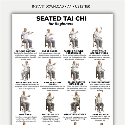 Seated Tai Chi for Beginners, Chair Tai Chi Routine PDF, Seated Exercises Chart, Home Workout Printable, Balance Exercise - Etsy Australia